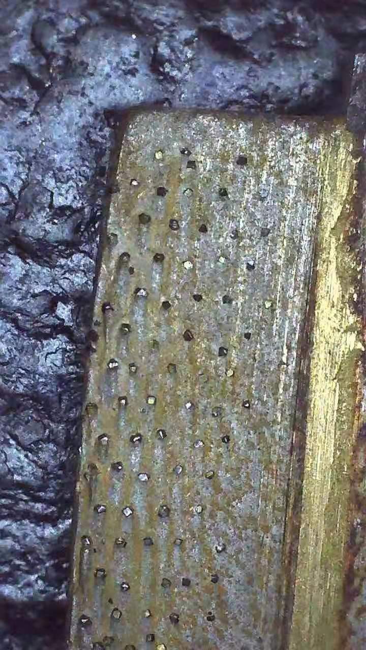 Multi Blade Cutter Segment